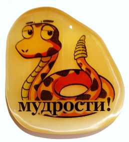 Магнит из селенита символ 2025 "Мудрости!" 
