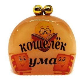 Сувенир из селенита 40*45 мм "Кошелёк ума" 