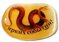 Магнит из селенита символ 2025 "Ярких событий!"