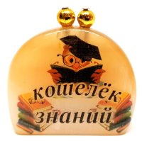 Сувенир из селенита 40*45 мм "Кошелёк знаний"
