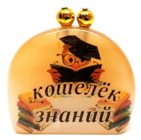Сувенир из селенита 40*45 мм "Кошелёк знаний" 