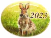 Панно магнит из селенита, с символом года 2023 "Кролик № 8"