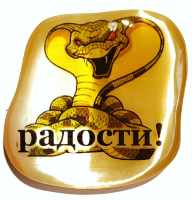Магнит из селенита символ 2025 "Радости!"