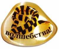 Магнит из селенита символ 2025 "Волшебства!"